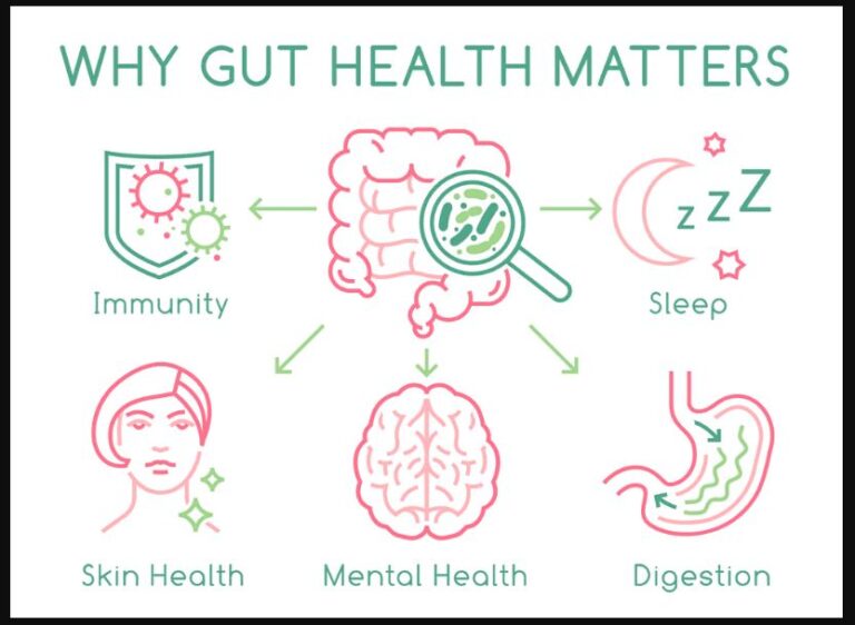 Understanding the Link between Gut Health and Immunity - GlobalHealthMag