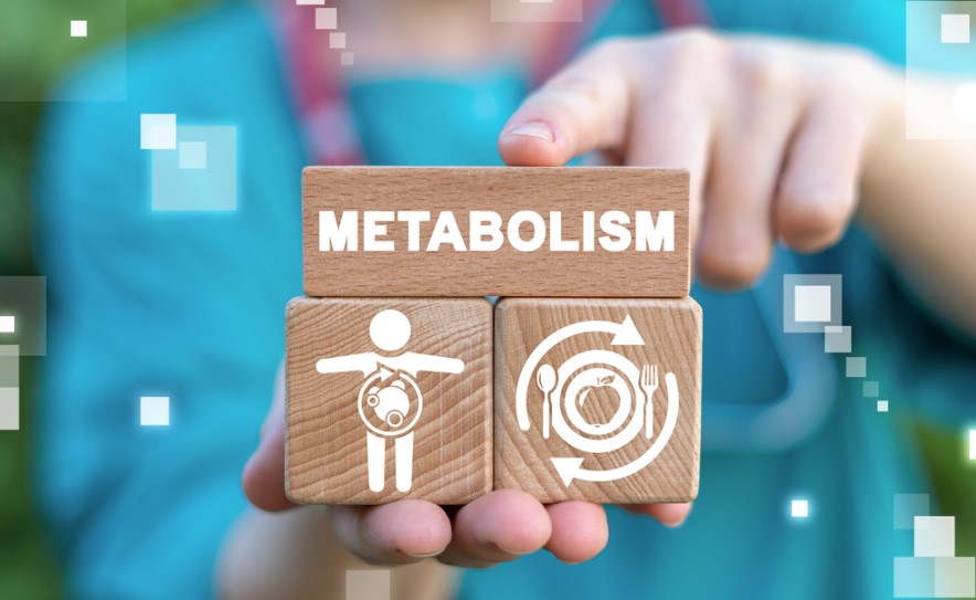 Mastering Your Metabolism: Your Key to Weight Loss