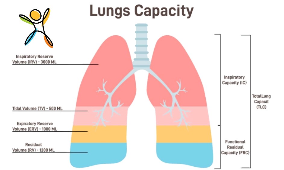 Boosting Lung Capacity: Effective Strategies for Improved Respiratory Health